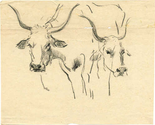 Никольский Георгий Евлампиевич. Два быка